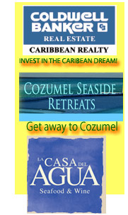 cancun south travel guide playa del carmen mexico