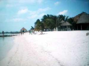 nice beach clubs with volleyball and restaurants