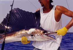 deep sea fishing is popular south of cancun mexico
