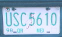 Mexican License Plate