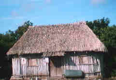 Mayan hut near Tulum, Mexico